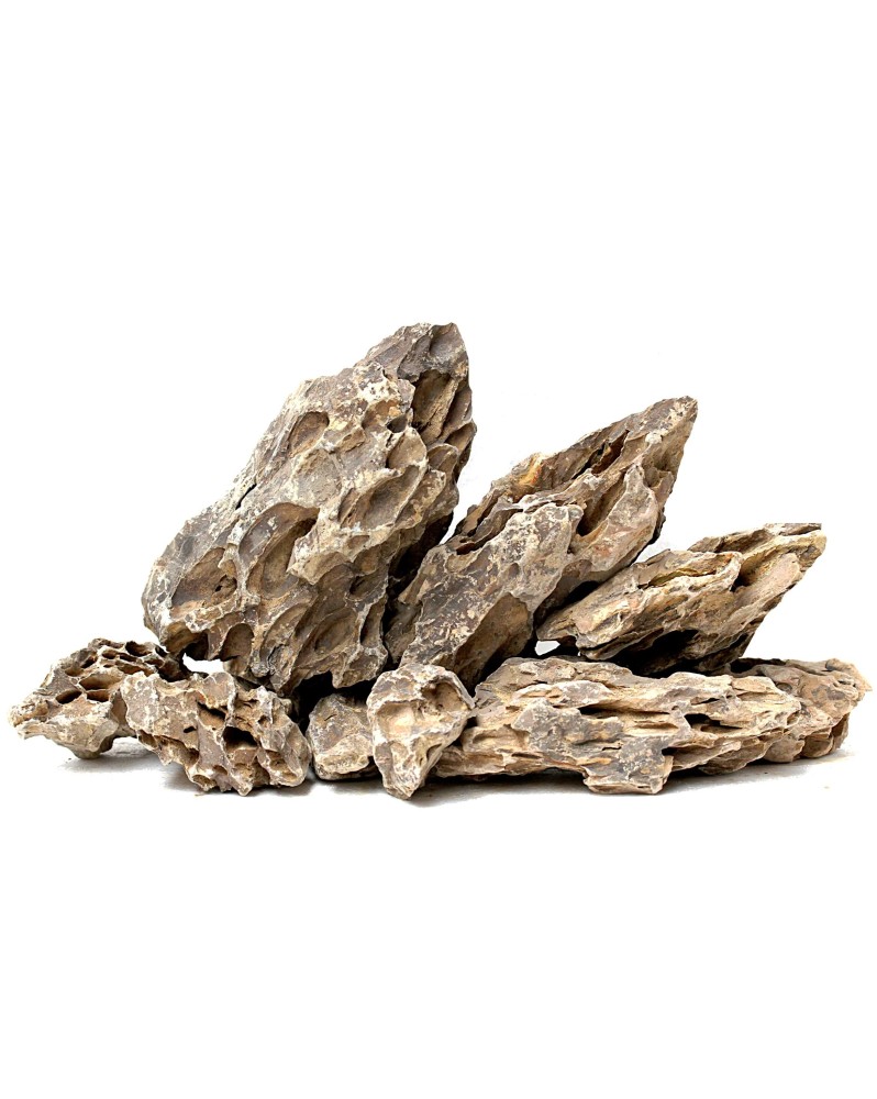 Pierres Ohko pour aquarium a crevettes, teintes variables