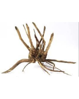 Trunk Wood taille S 15-30cm jusqu a 400g