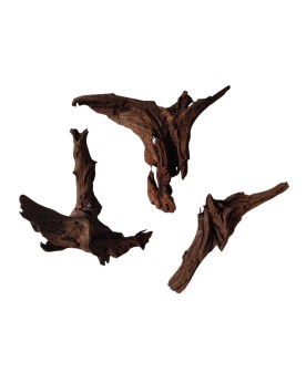 Driftwood 10-20 cm pour aquarium et aquascaping