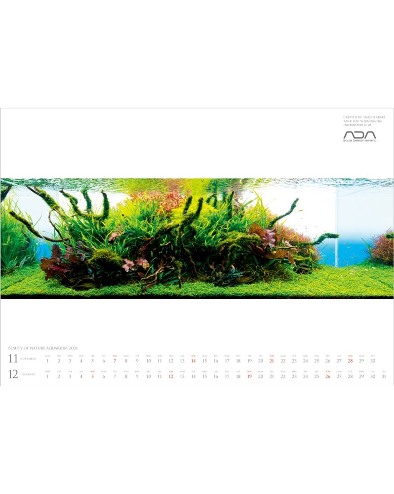 Calendrier ADA 2021 - 6 aquascapes, photos a encadrer