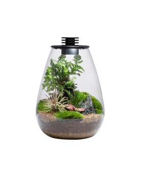 Contenant en verre pour terrarium avec LED