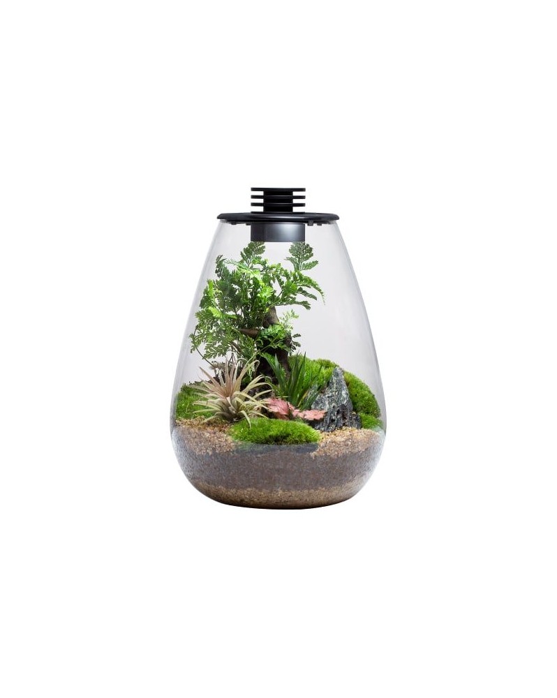 Contenant en verre pour terrarium avec LED