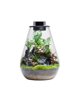 Bouteille Bio SD200 - terrarium verre 20x30 LED