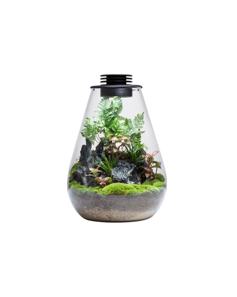 Bouteille Bio SD200 - terrarium verre 20x30 LED