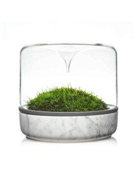 Mini mossarium design base marbre 160 mm