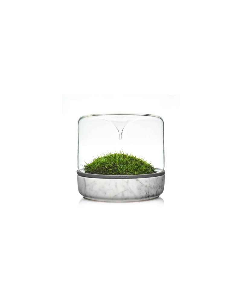 Mini mossarium design base marbre 160 mm