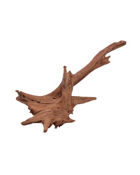 Driftwood river wood 40 60 cm pour aquascaping
