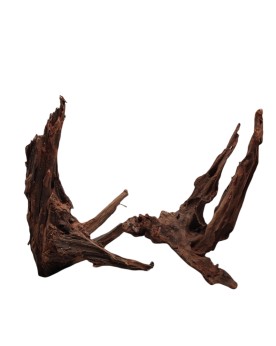 Driftwood 30-40 cm pour aquarium et aquascaping