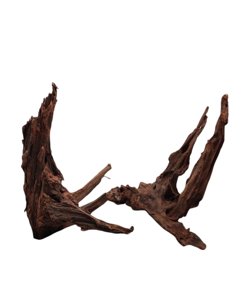 Driftwood 30-40 cm pour aquarium et aquascaping