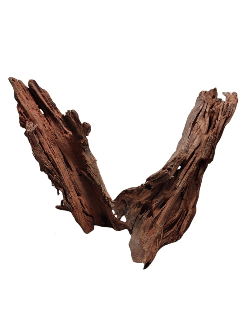Morceaux de driftwood 20-25 cm