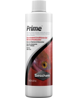 Bouteille conditionneur eau concentre anti chlore