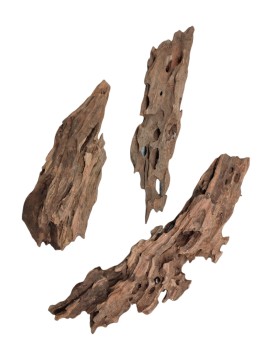 Racine Dragon Wood M 15 a 30 cm brun fonce et gris