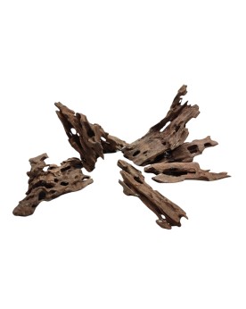 Racine Dragon Wood S 5-20 cm marron fonce gris