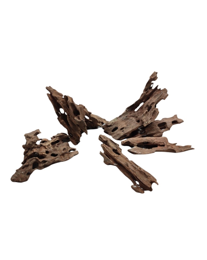 Racine Dragon Wood S 5-20 cm marron fonce gris