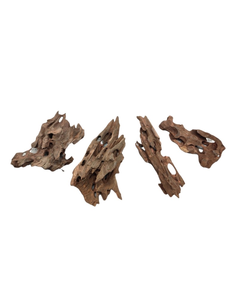 Racine Dragon Wood XS 4-8 cm marron fonce