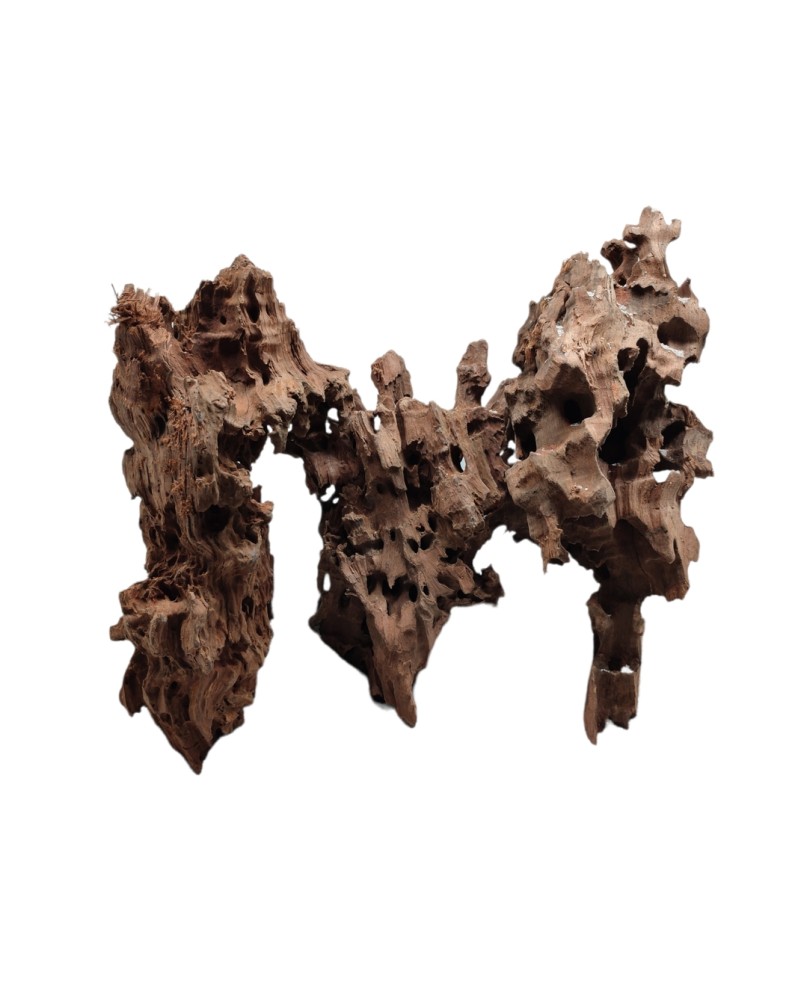 Racine Dragon Wood L 20 a 40 cm marron fonce gris
