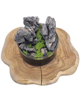 Base en teck pour Wabi Kusa 30-36 cm