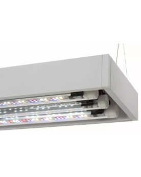 Aquael Ultrascape 60 Snow set aquarium et eclairage