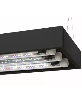 Aquarium Aquael Ultrascape 60 FOREST eclairage inclus