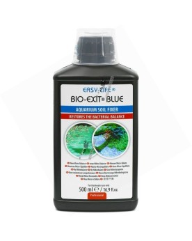 Traitement anti cyanobacteries 2 semaines