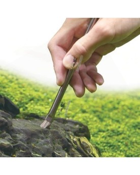 ADA Pro Brush brosse abrasive