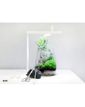 Kit ONF terrarium complet pour mousses et fougeres