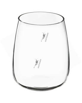 Kit ONF terrarium complet pour mousses et fougeres