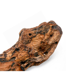 Racines River Wood ideal pour nano et pico