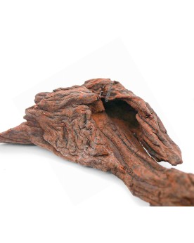 Racines River Wood ideal pour nano et pico