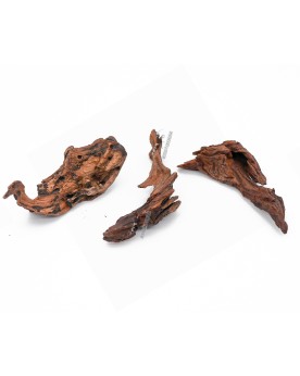 Racines River Wood ideal pour nano et pico