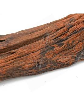 Racine River Wood ideale pour nano pico et fixation de mousse