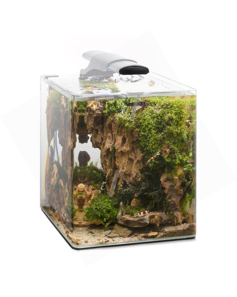 Nano Aquarium Aquael Optibent 20 L avec LED et filtre