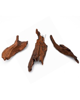 Racine River Wood ideale pour nano pico et fixation de mousse
