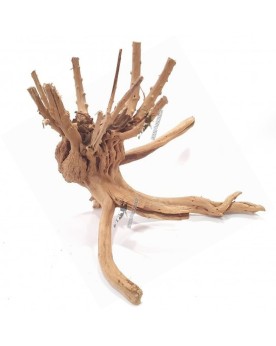 Racine Slim Wood detaillee pour aquarium