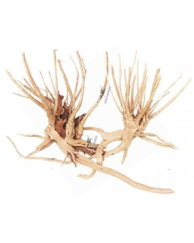 Racine Slim Wood detaillee pour aquarium