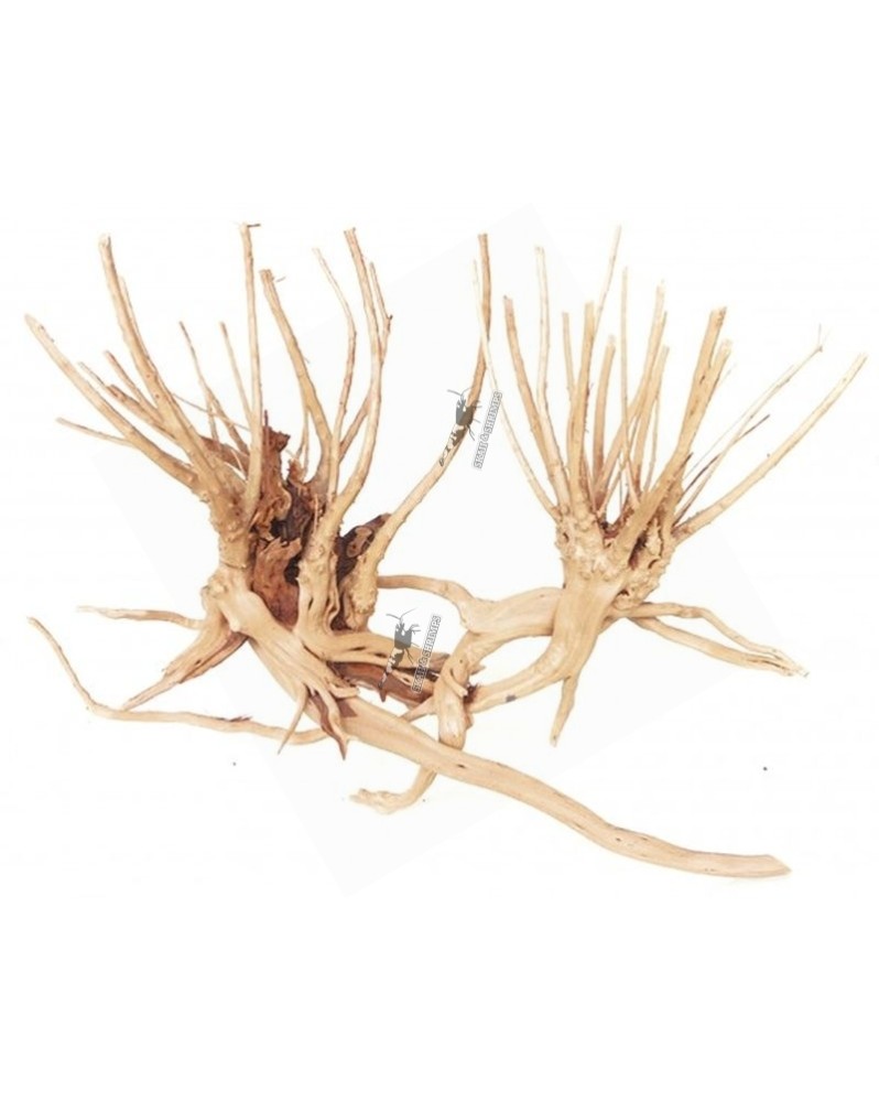 Racine Slim Wood detaillee pour aquarium