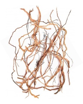 Asia Twigs morceaux de racines pour aquarium