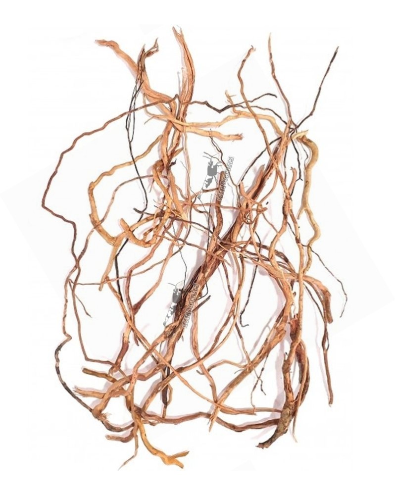 Asia Twigs morceaux de racines pour aquarium
