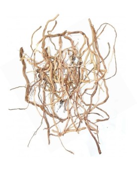 Asia Twigs - pieces de racines variees