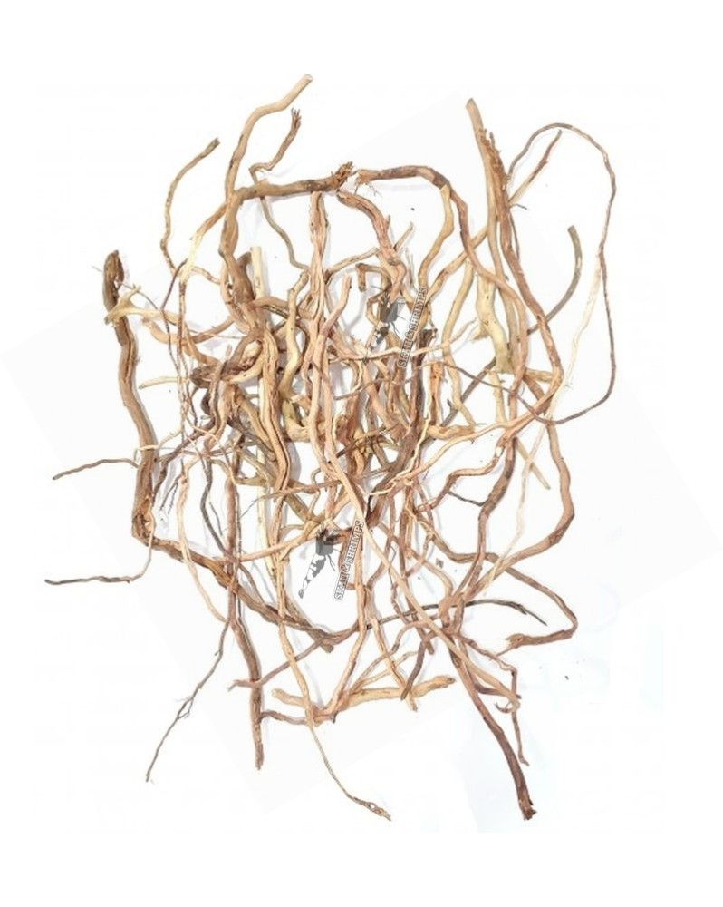 Asia Twigs - pieces de racines variees