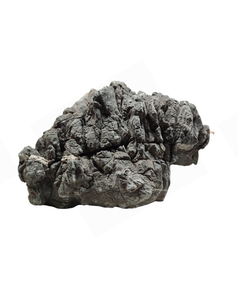 Millenium Stone 36kg 55x35cm pierre