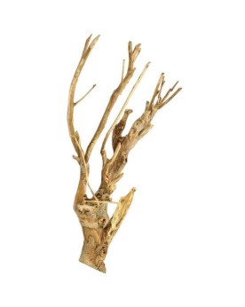 Racines Talawa pour decor de biotope