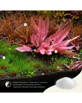 Flacon APT SKY booster mineraux pour aquarium