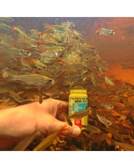 Granules prebiotiques XXS pour neons et petits characins