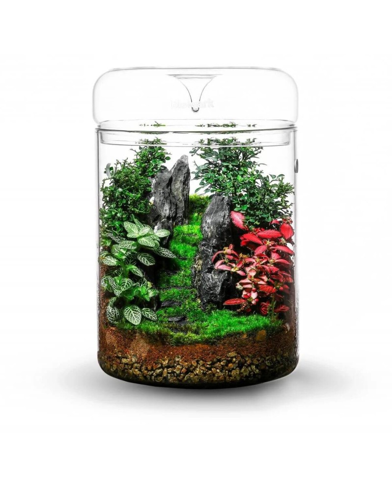 Contenant Bioloark en verre 3 mm avec couvercle