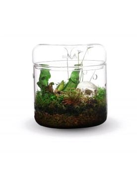 Contenant verre Bioloark 3 mm avec couvercle
