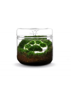Contenant en verre Bioloark 3 mm avec couvercle