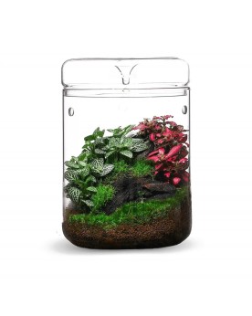 Contenant verre Bioloark avec couvercle 3 mm