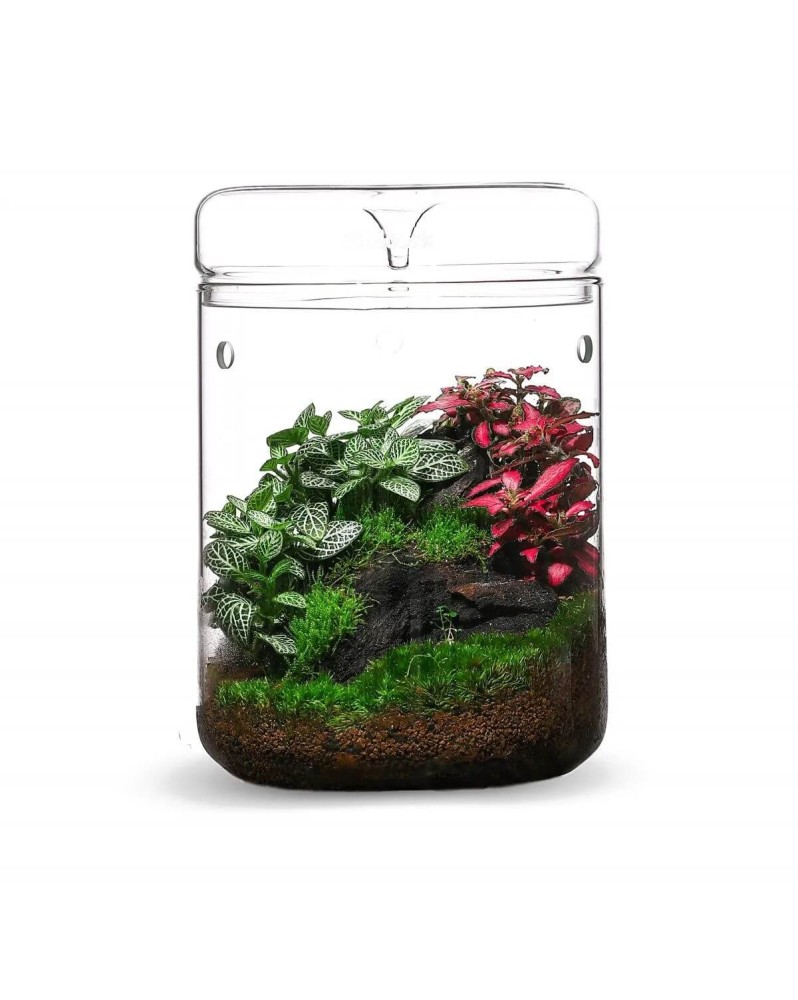 Contenant verre Bioloark avec couvercle 3 mm