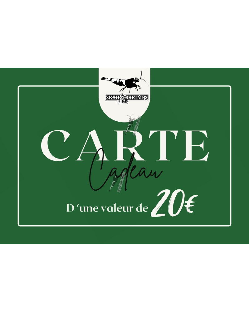 Carte cadeau 20 EUR carte cartonnee personnalisee 150x110